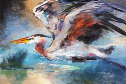 Heron in Flight - Print on Canvas